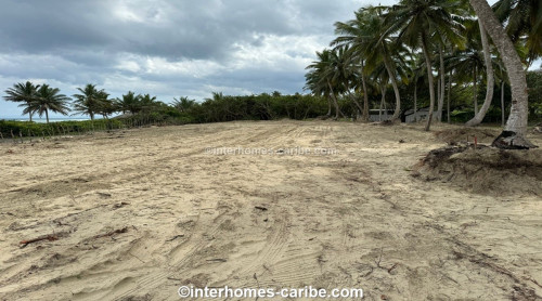 photos for SABANETA DE YASICA: THE LAST LOT WITH DIRECT BEACH LOCATION ON THE NATURAL LA BOKA BEACH
